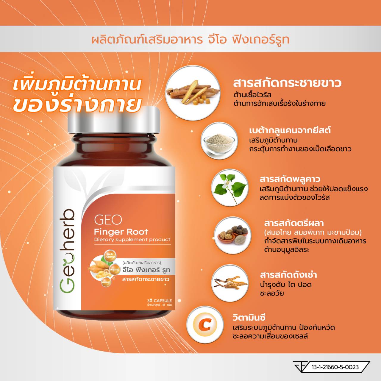 GEO Finger Root (กระชายขาวสกัด+) ** NEW PACKAGING **