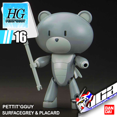 HG PETIT'GGUY SURFACEGREY & PLACARD