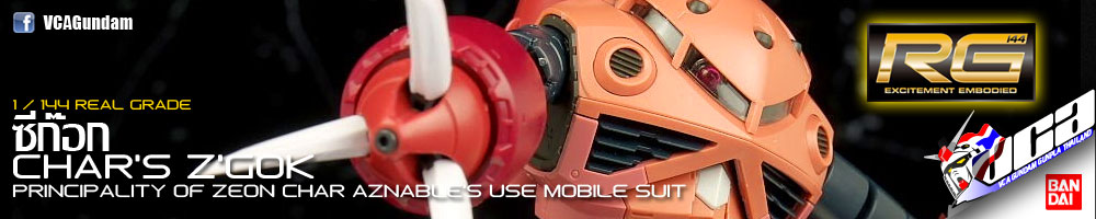 RG Z'GOK