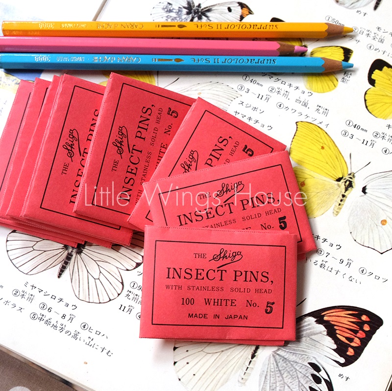++ เข็มเซ็ทแมลง/ผีเสื้อ เบอร์ 5 บรรจุ 100 ชิ้น นำเข้าจากญี่ปุ่น ++ Insect Pin Made in Japan