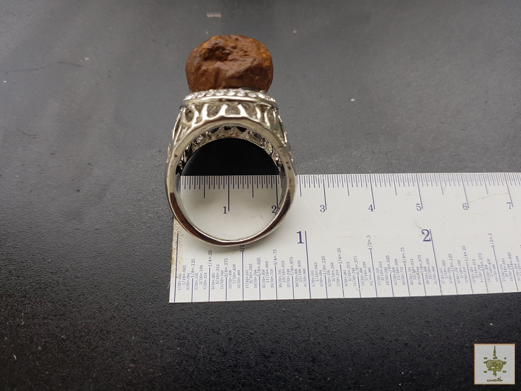 แหวนคตดักแด้