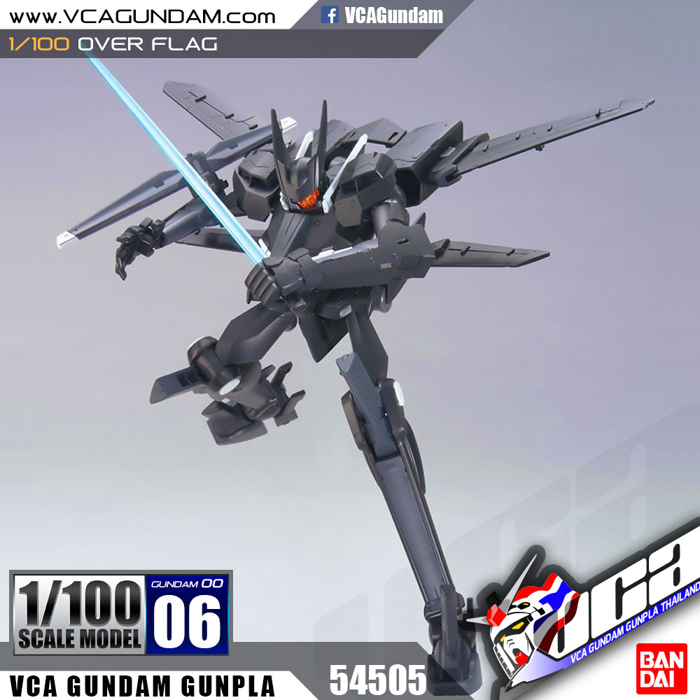 1/100 OVER FLAG อเวอร์ แฟล็ก