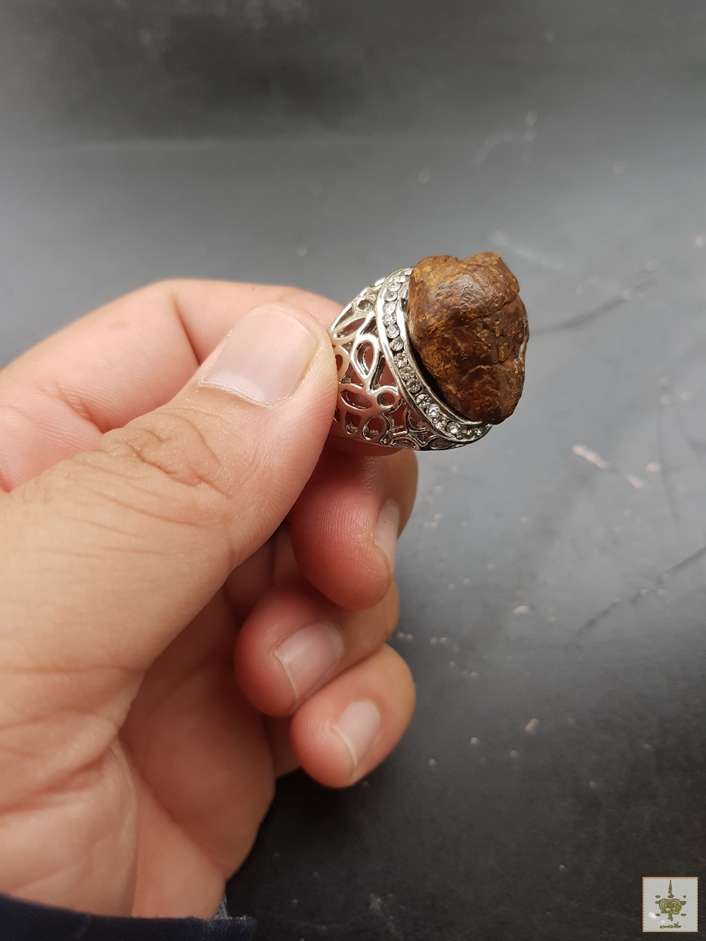 แหวนคตดักแด้