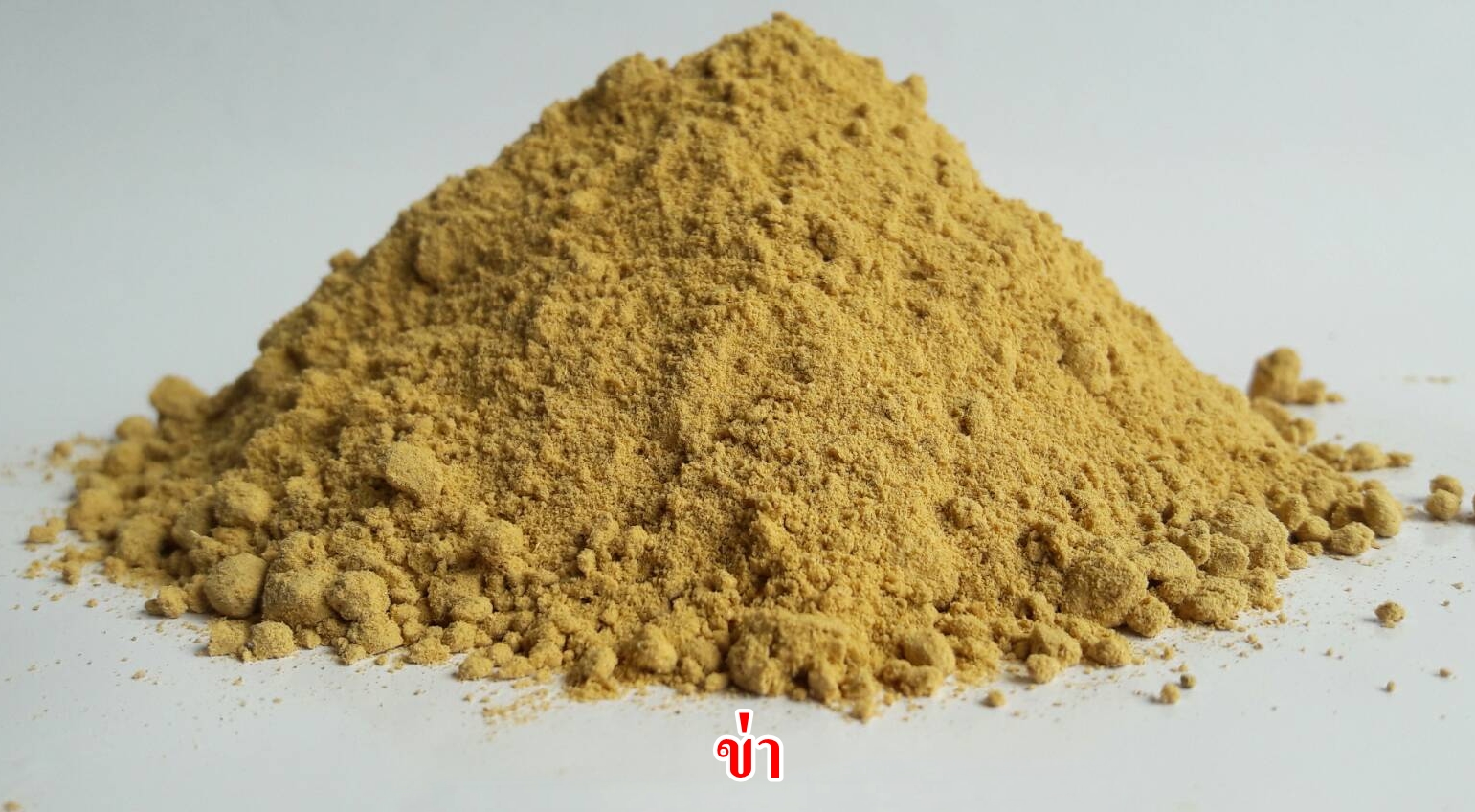 ผงข่า 100% (Galanga Powder)