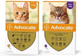 Advocate for Cats ยาหยอดกำจัดเห็บ หมัด แมว 1 กล่อง 3 หลอด