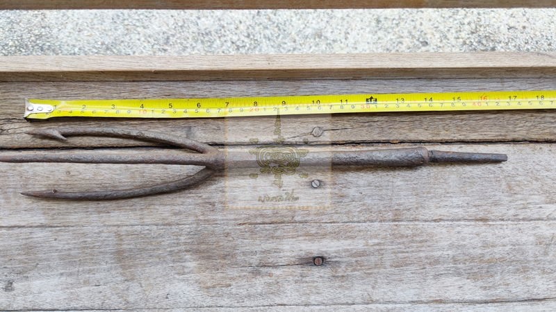 ฉมวกโบราญ ขนาดใหญ่