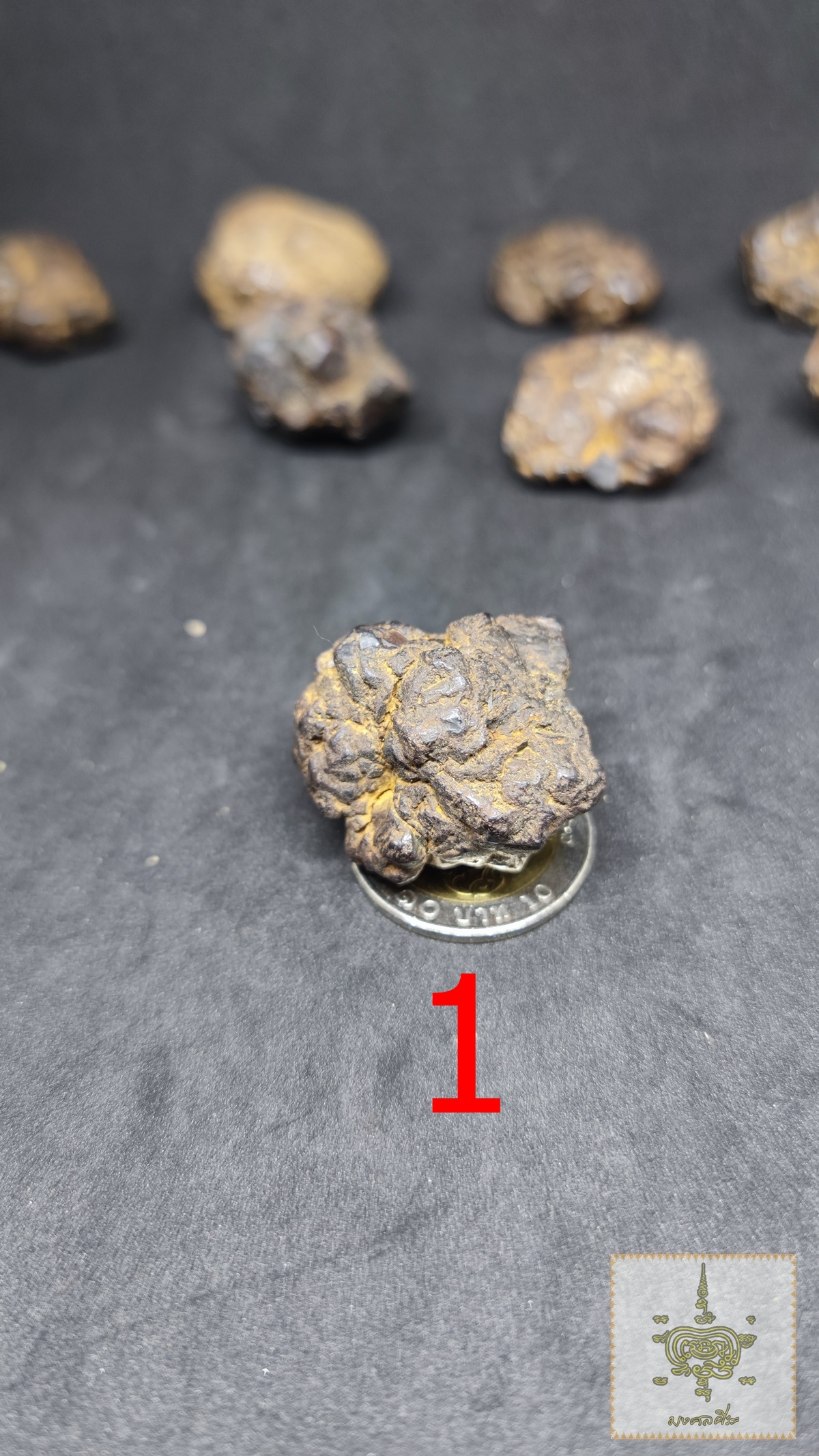 เหล็กไหลภูเขาควาย หินกินเหล็ก ตาข่ายพันชั้น ขนาดกลาง สำเนา