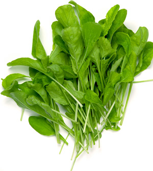 เมล็ดผักสลัด Arugula Rocket 200 เมล็ด