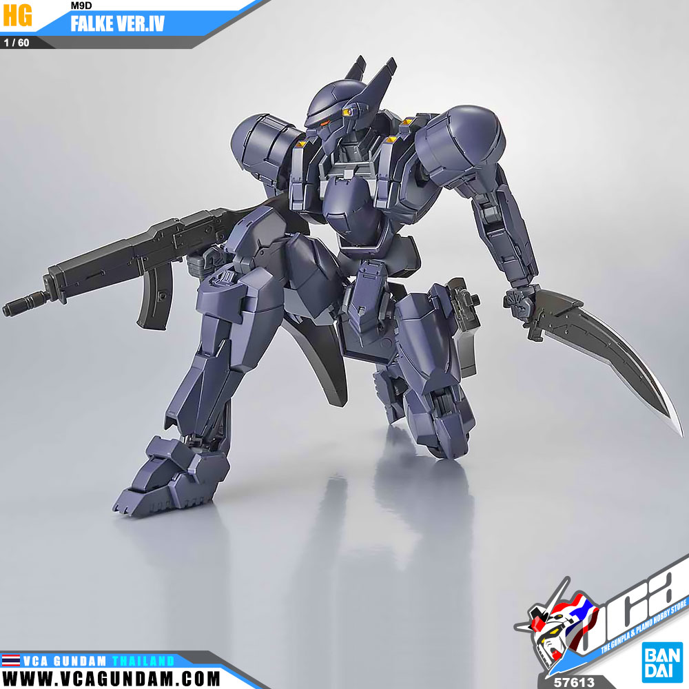 HG 1/60 M9D FALKE VER.IV