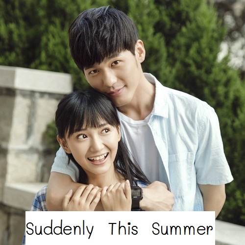 [จีนซับไทย] Suddenly This Summer ซับไทย ซีรี่ย์จีน DVD 4 แผ่น