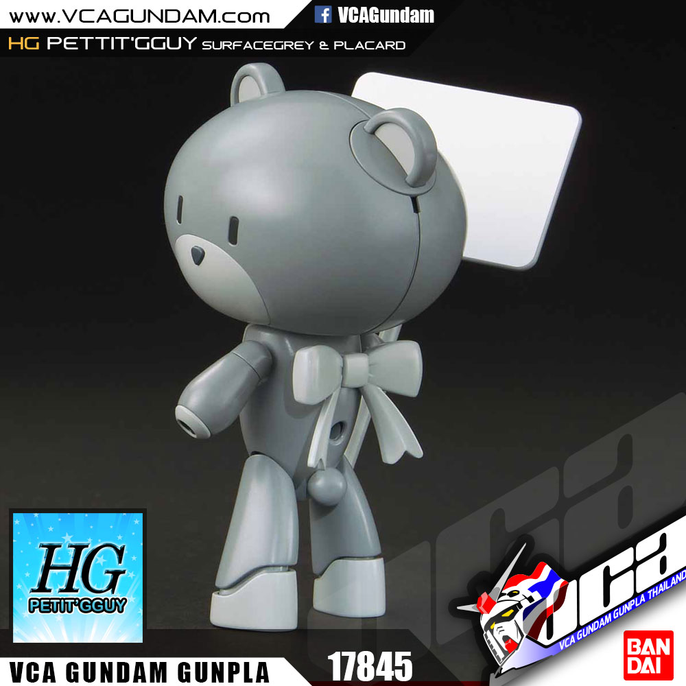 HG PETIT'GGUY SURFACEGREY & PLACARD