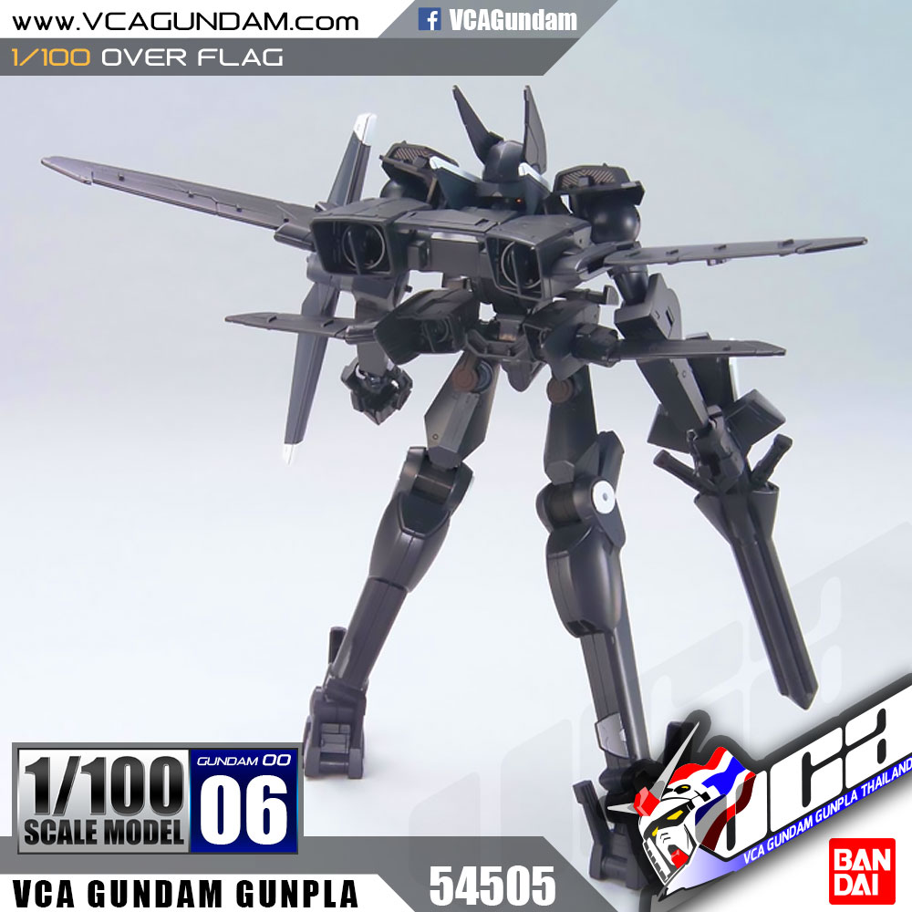 1/100 OVER FLAG อเวอร์ แฟล็ก