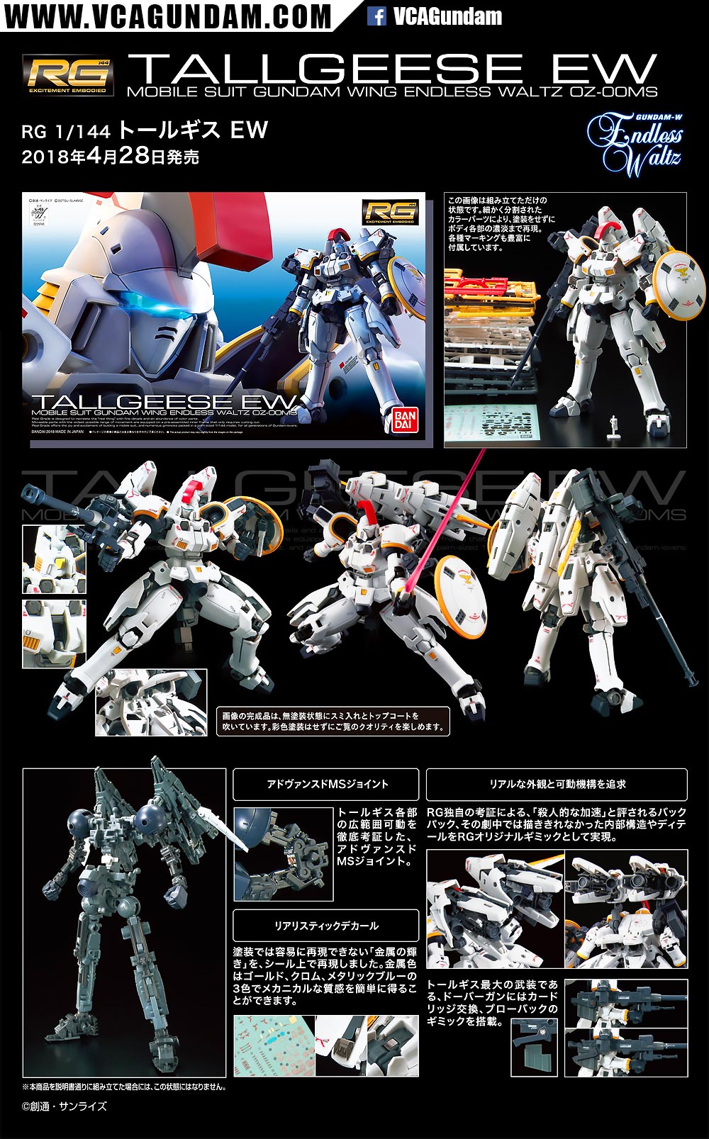 RG TALLGEESE EW ทอล กีซ