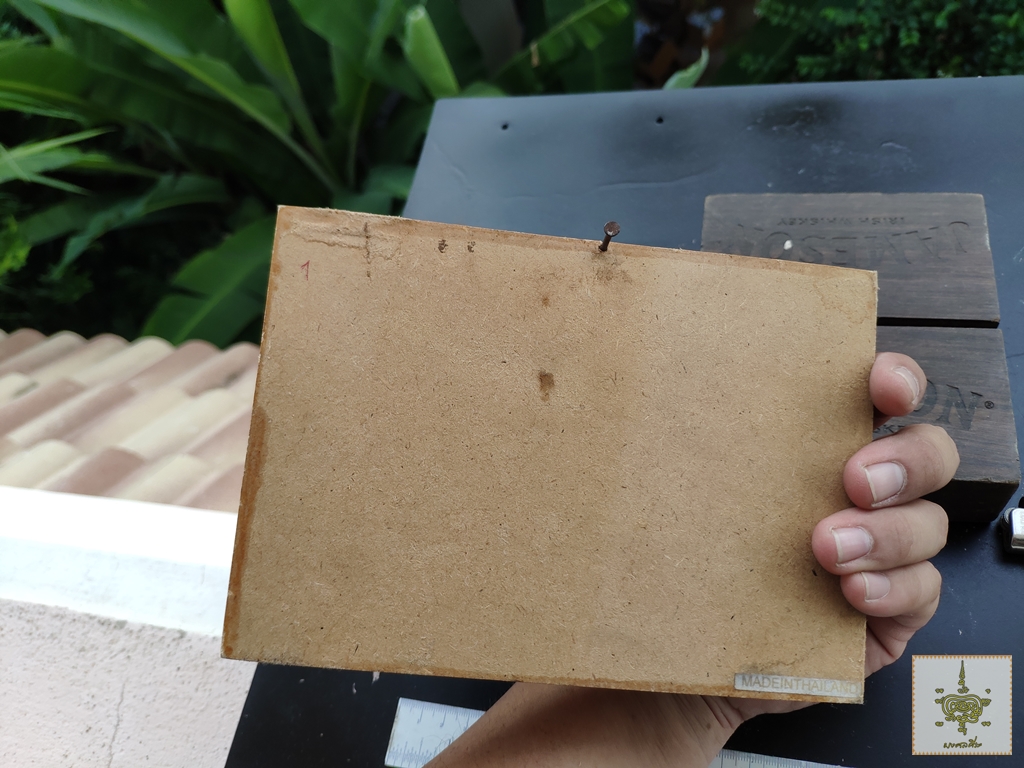 ด้วงกว่าง แมลงสต๊าฟ