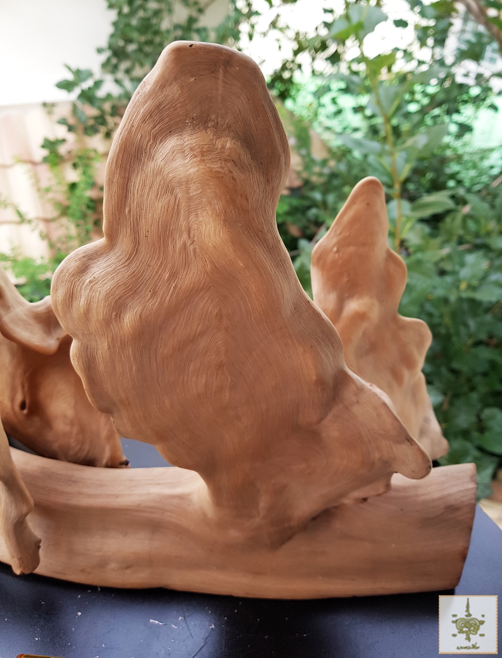 ขอนไม้แปลก