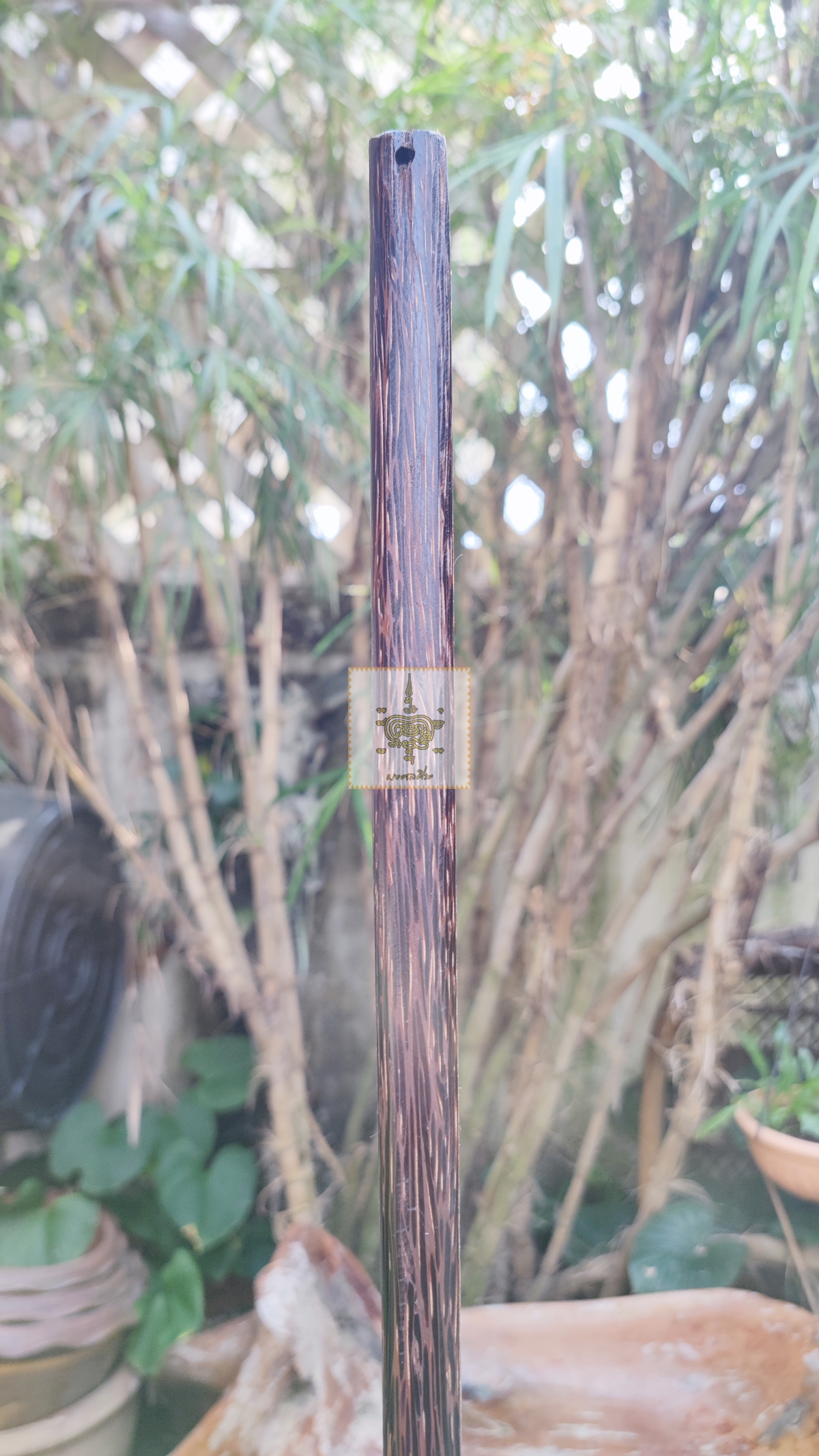 ปืนยิงกระสุนดิน