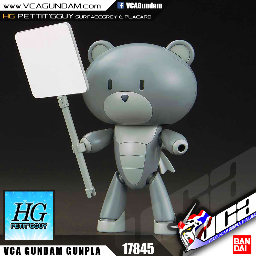 HG PETIT'GGUY SURFACEGREY & PLACARD