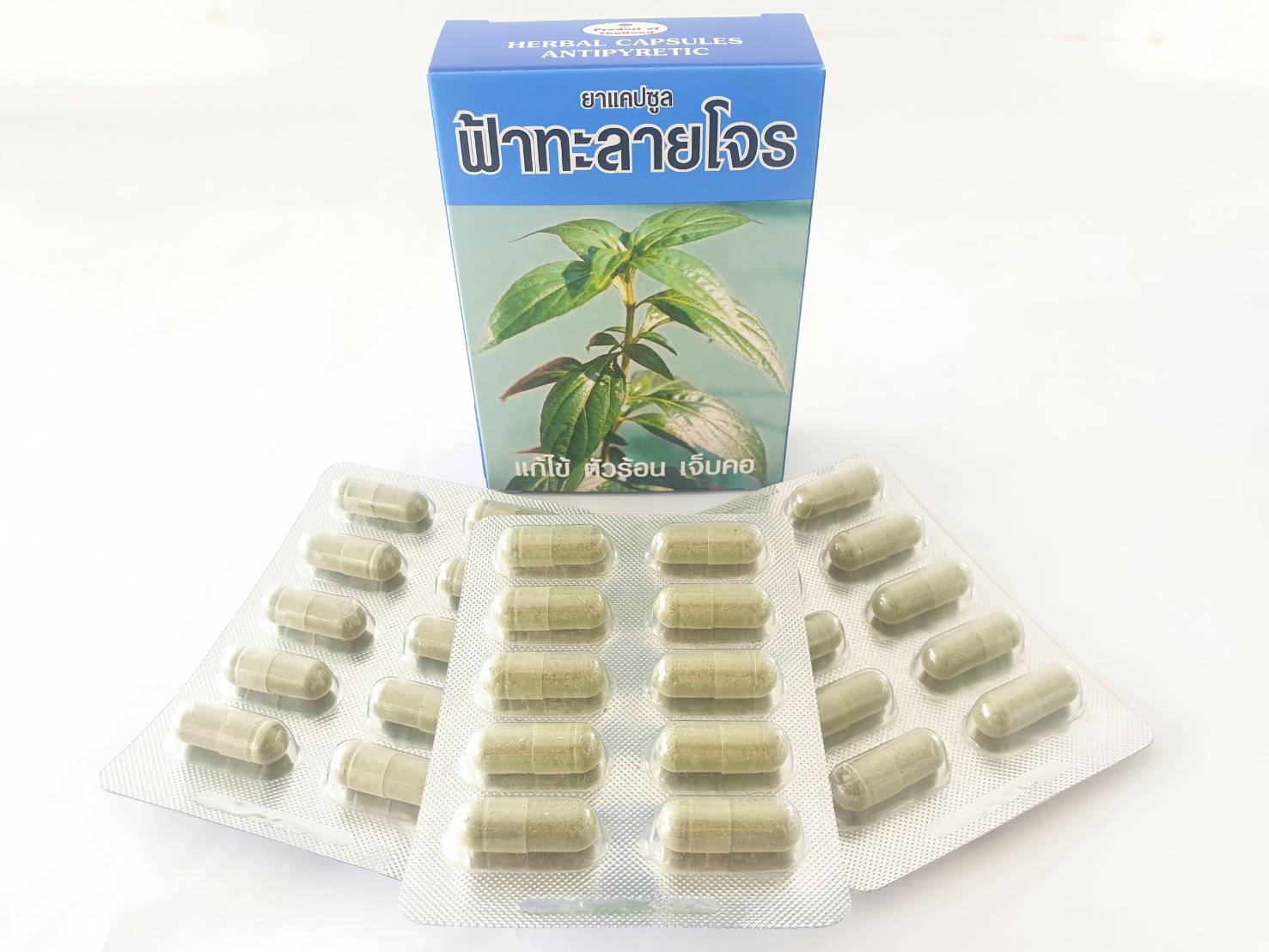 ยาแคปซูล ฟ้าทะลายโจร (ขนาด 30 แคปซูล)