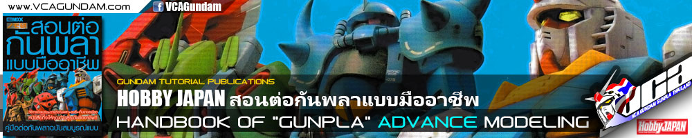 สอนต่อกันพลาแบบมืออาชีพ