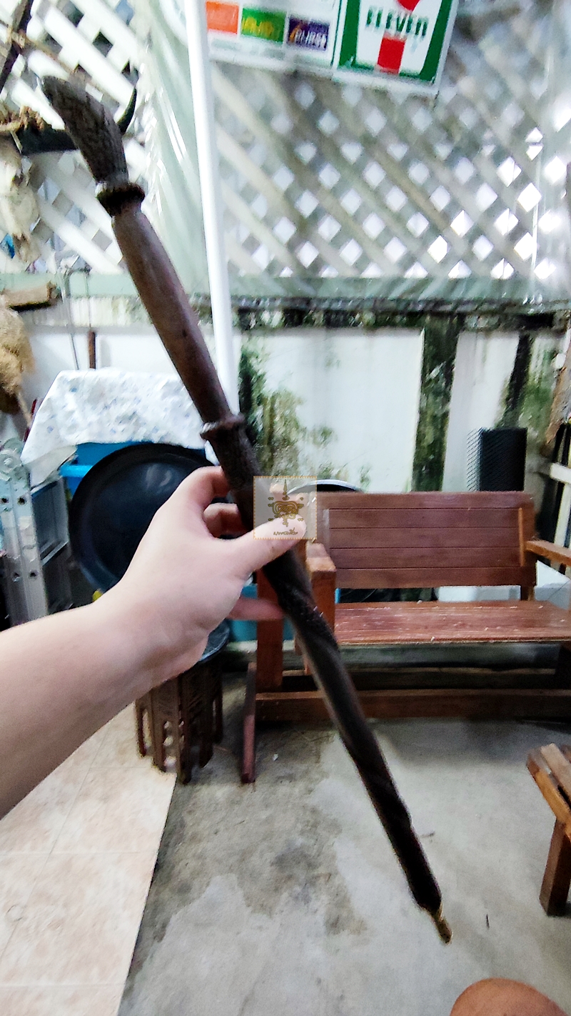 ไม้ตะพตงู