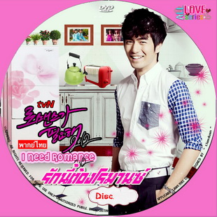 รักนี้ต้องโรมานซ์ I Need Romance 2012 พากย์ไทย+ซับไทย (จบ) V2D 4 แผ่น