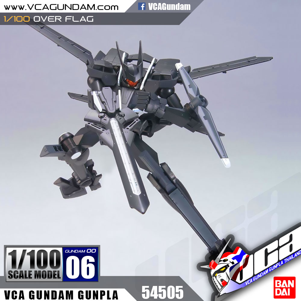 1/100 OVER FLAG อเวอร์ แฟล็ก