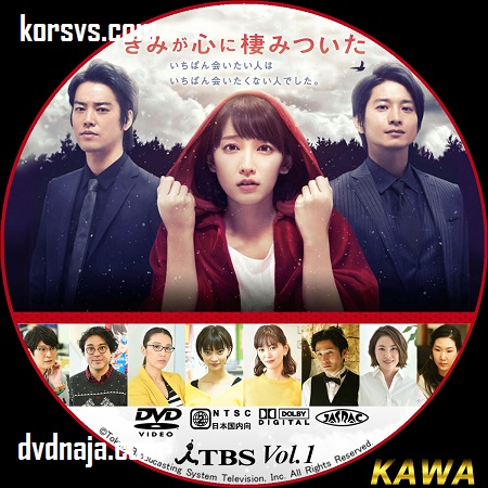 Kimi ga Kokoro ni Sumitsuita ซับไทย ซีรี่ย์ญี่ปุ่น (10 ตอนจบ) DVD 2 แผ่น