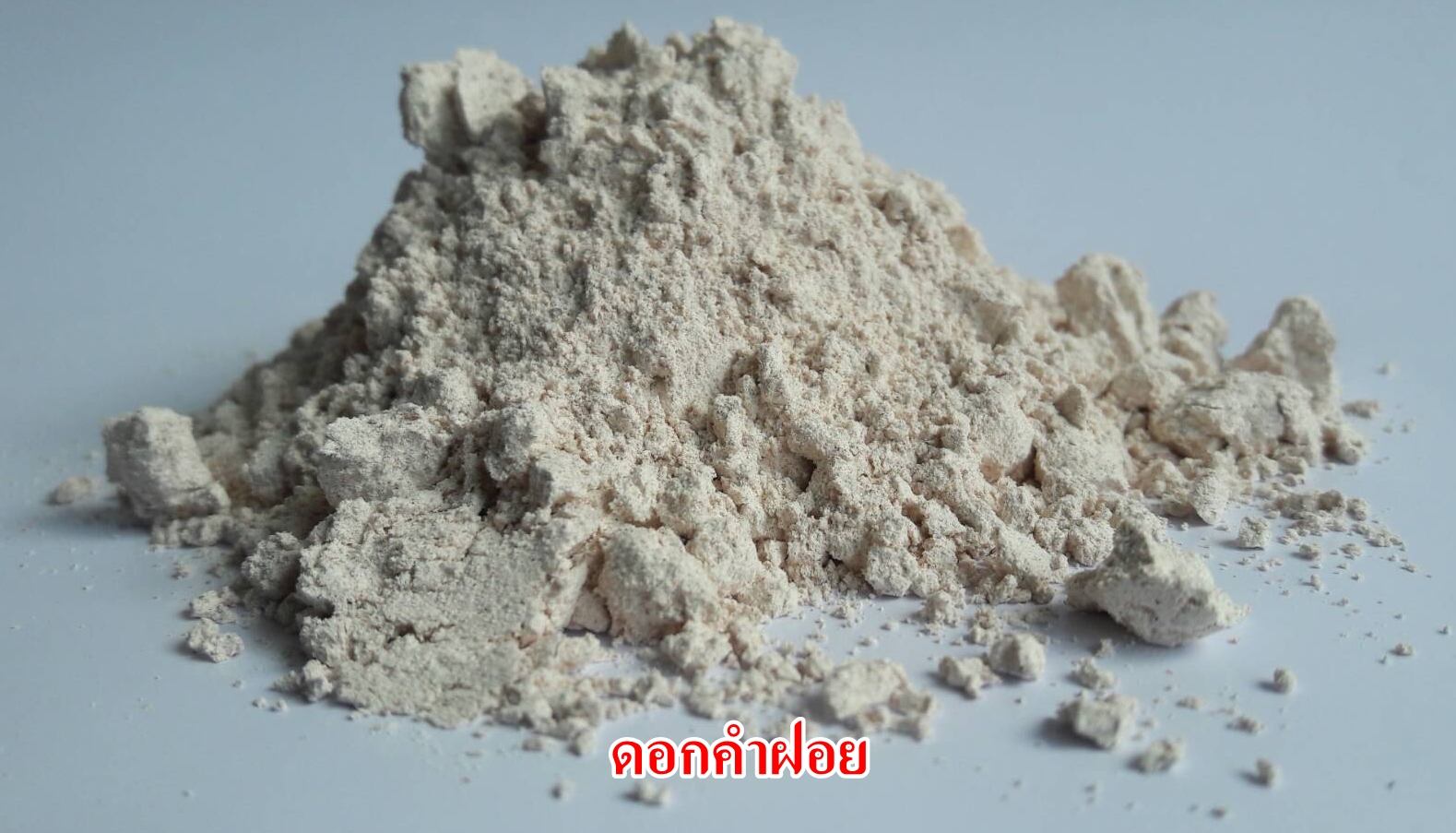 ผงดอกคำฝอย 100% (Safflower Powder)