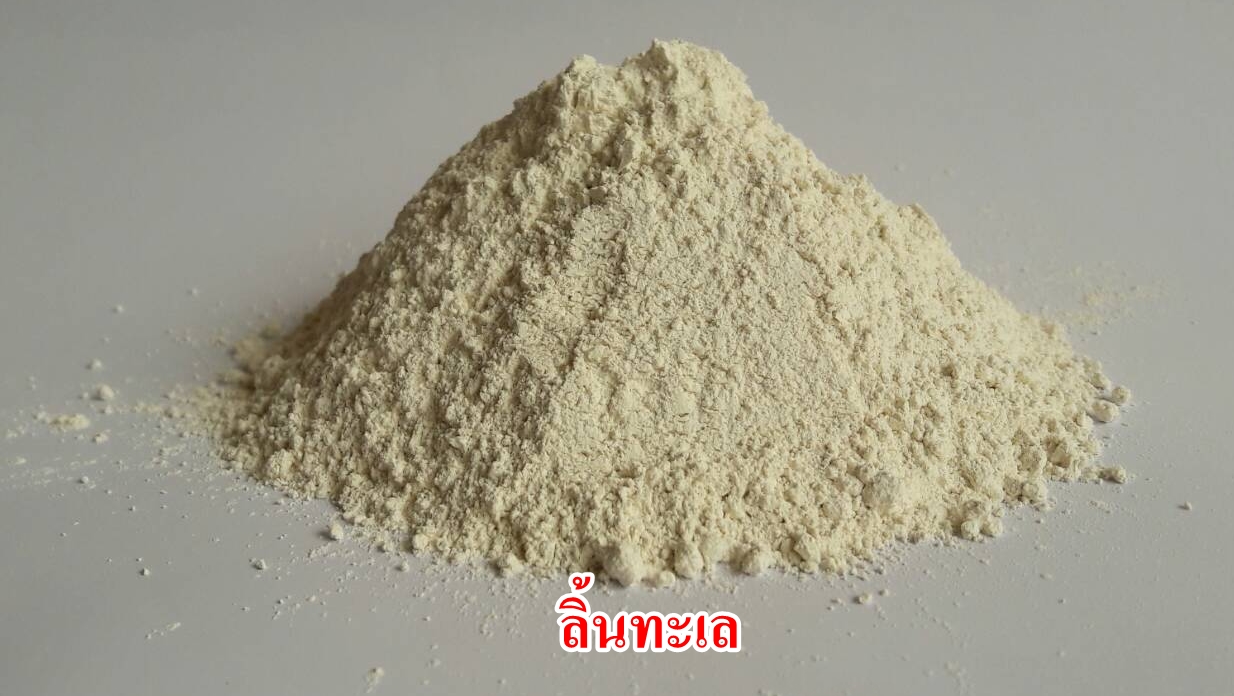 ผงลิ้นทะเล 100%