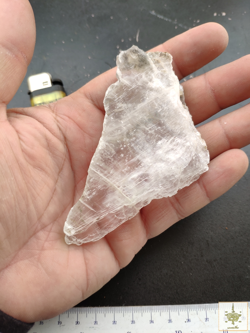 แก้วนางฝาน