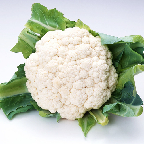 กะหล่ำดอกสีขาว white cauliflower 20 เมล็ด