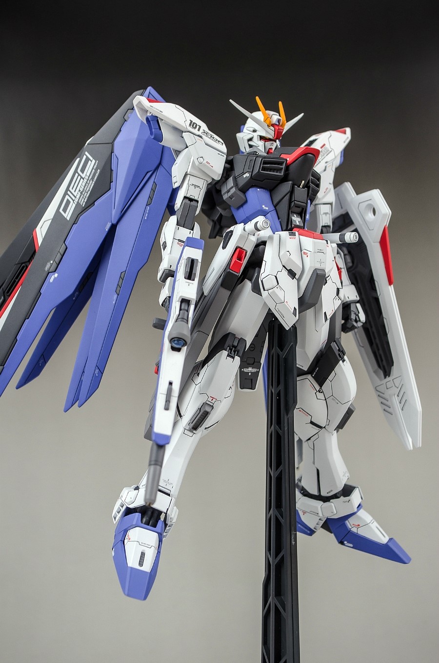 MG 1/100 FREEDOM GUNDAM | Painted Build by mushuwyou