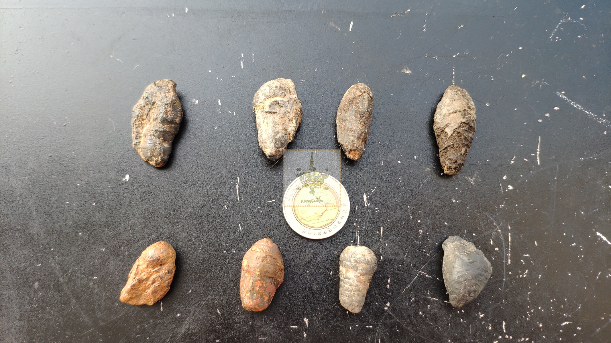 คตดักแด้ ชุดที่ 2