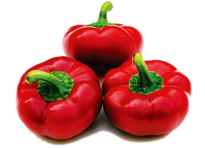 เมล็ดพันธุ์พริกฟักทองเผ็ด Hot Pimento Pepper 20 เมล็ด