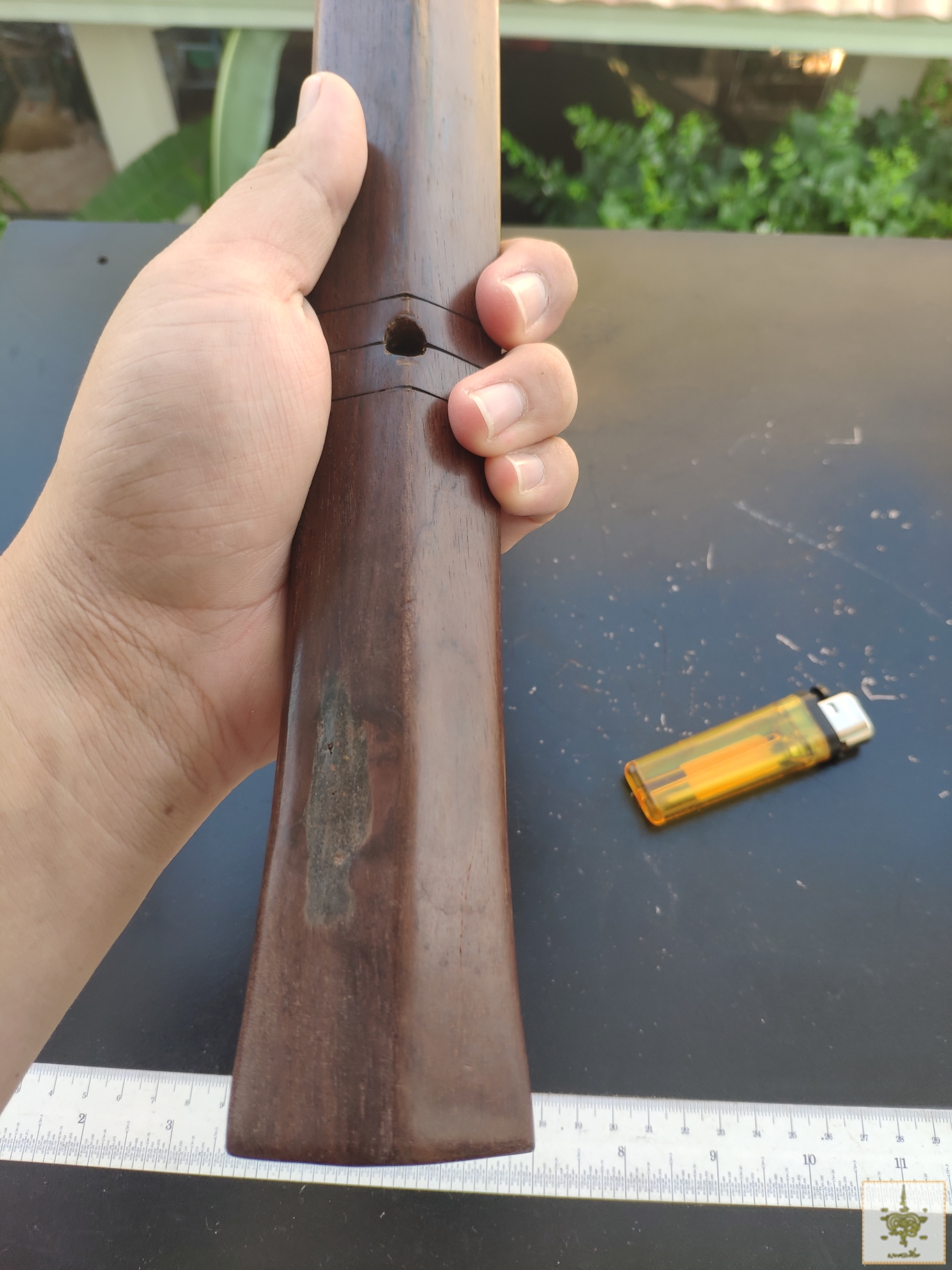 ไม้คมแฝก ไม้มะค่า