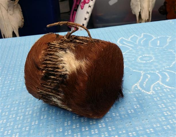 กลองหนัง