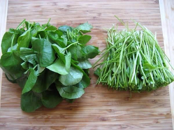 ผักสลัดน้ำ Water cress 100 เมล็ด