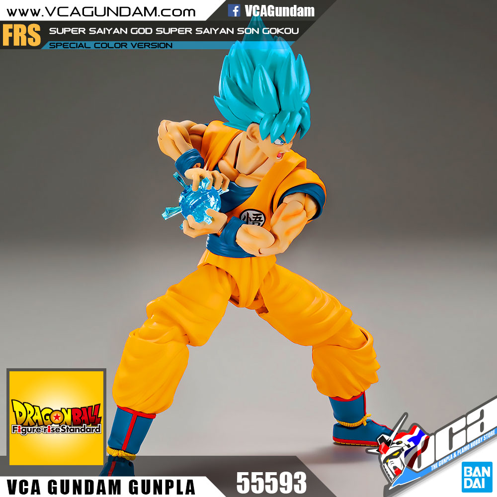 SUPER SAIYAN GOD SUPER SAIYAN SON GOKOU (SPECIAL COLOR)