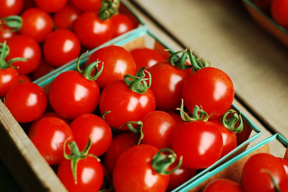 มะเขือเทศเชอรี่สีแดง Red Cherry Tomato 50 เมล็ด