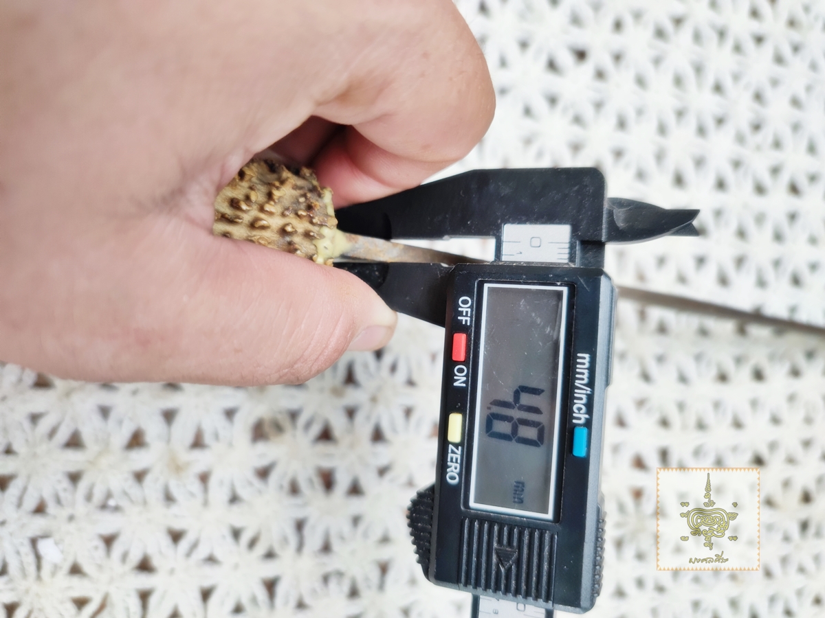 มีดเก่า ด้ามเขากวาง