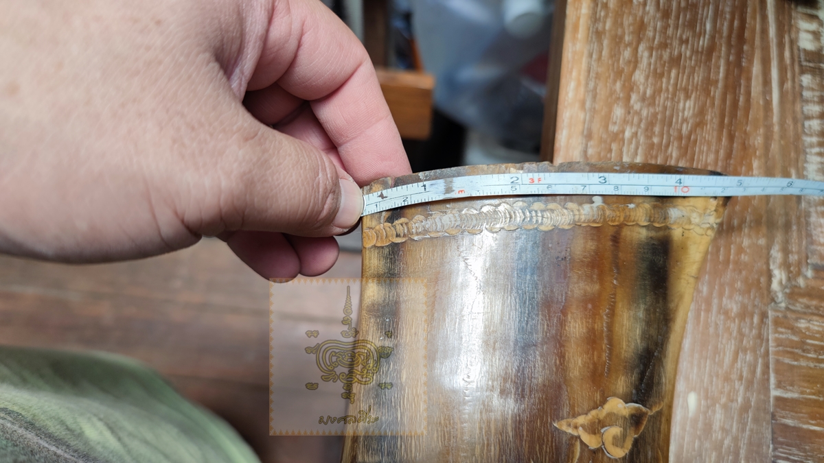 เขาควายเผือก 8