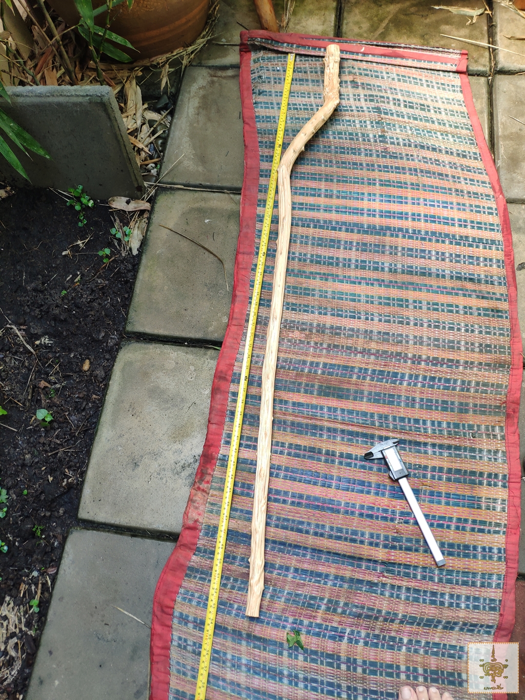 ไม้เท้า ไม้กระดูก