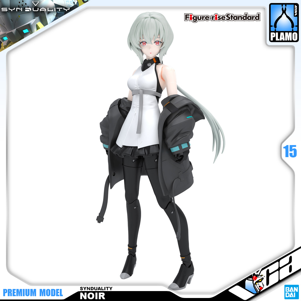 Figure-rise Standard NOIR