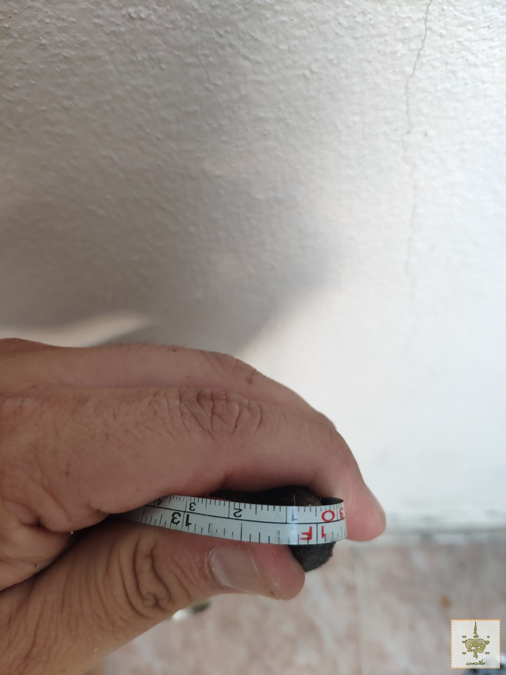 เขาวัว 3