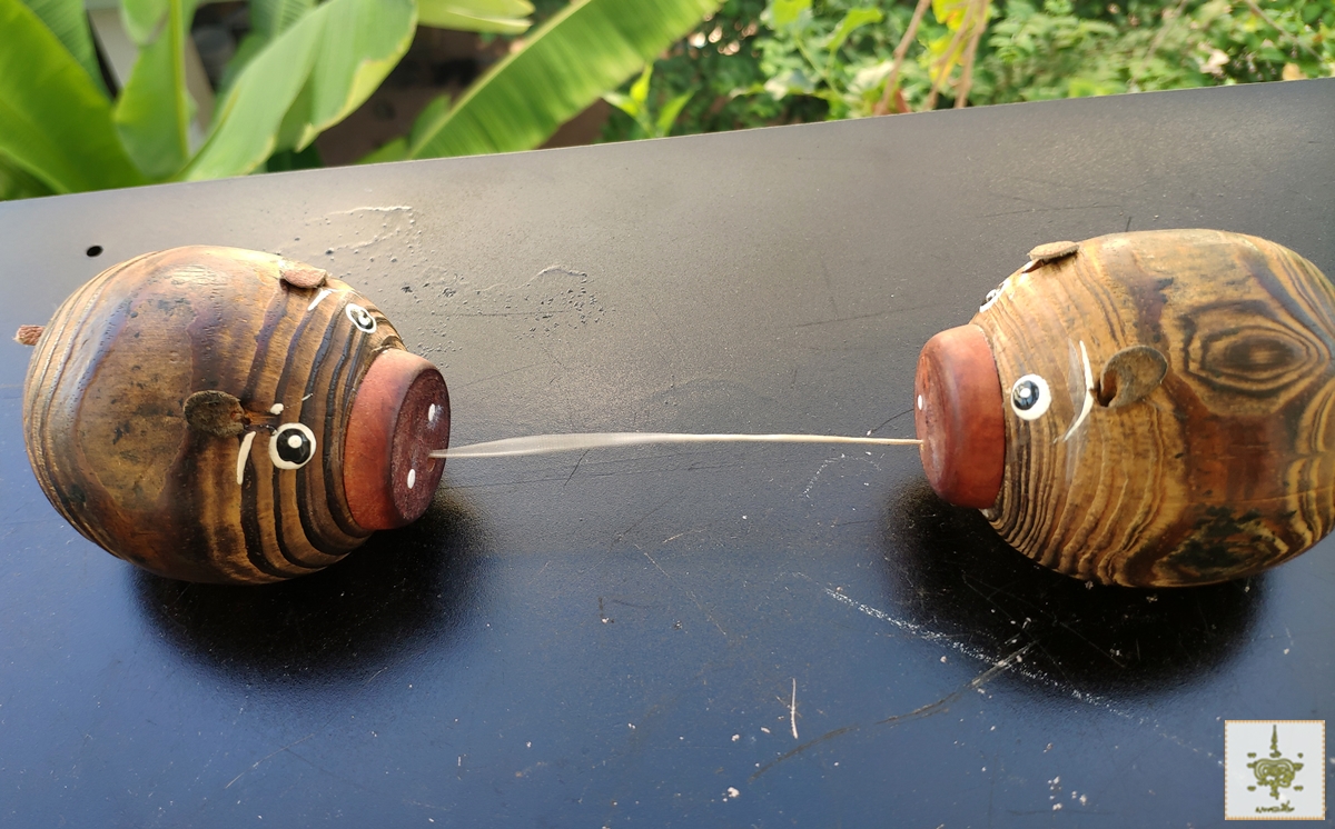 หมูไม้ จูบกัน 2 ตัว