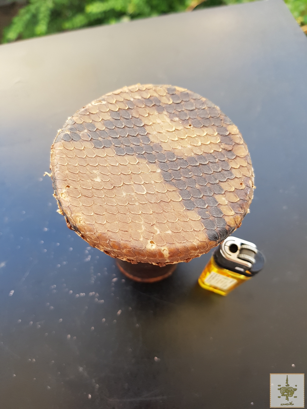 กลองเล็กเก่า หนังงู