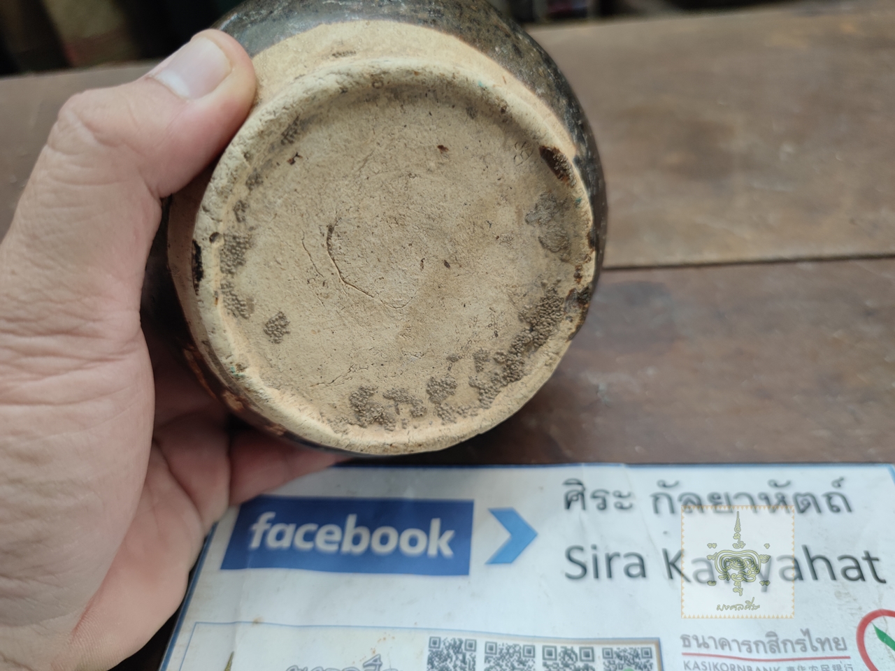 กระปุกตั้งฉ่าย สีสวาท