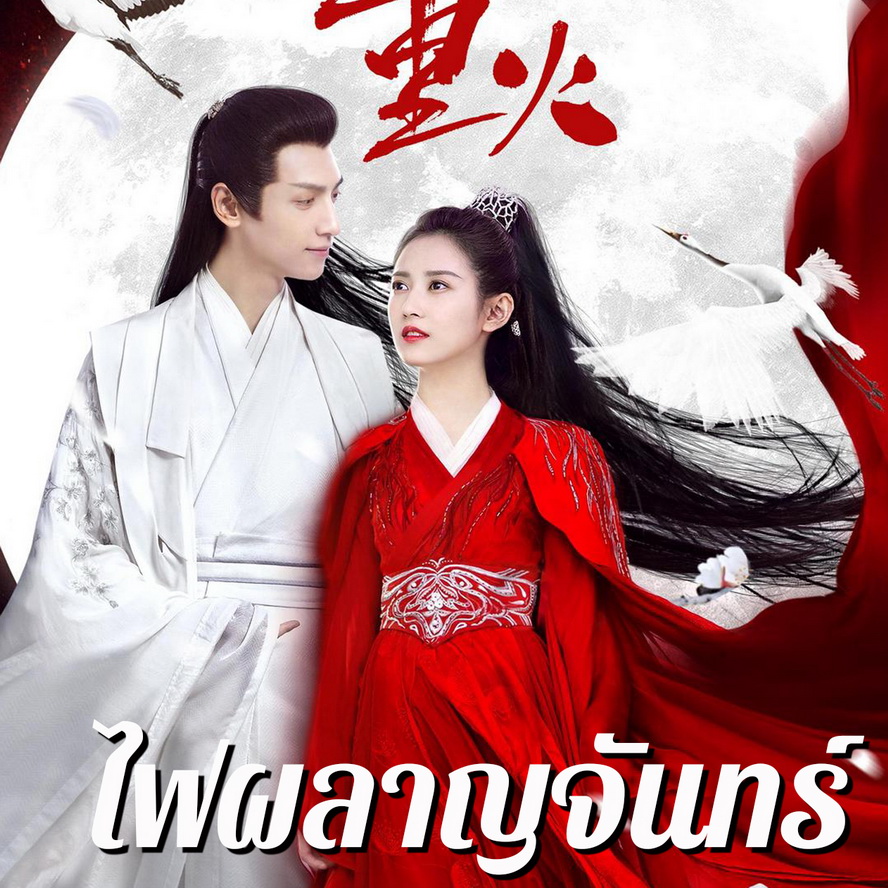 [จีนพากย์ไทย] ไฟผลาญจันทร์ And The Winner is Love DVD 8 แผ่น