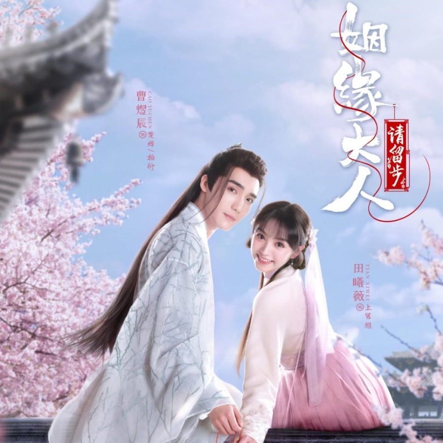 [จีนซับไทย] Ms. Cupid in Love ตำนานรักแม่สื่อจอมวุ่น DVD 4 แผ่น