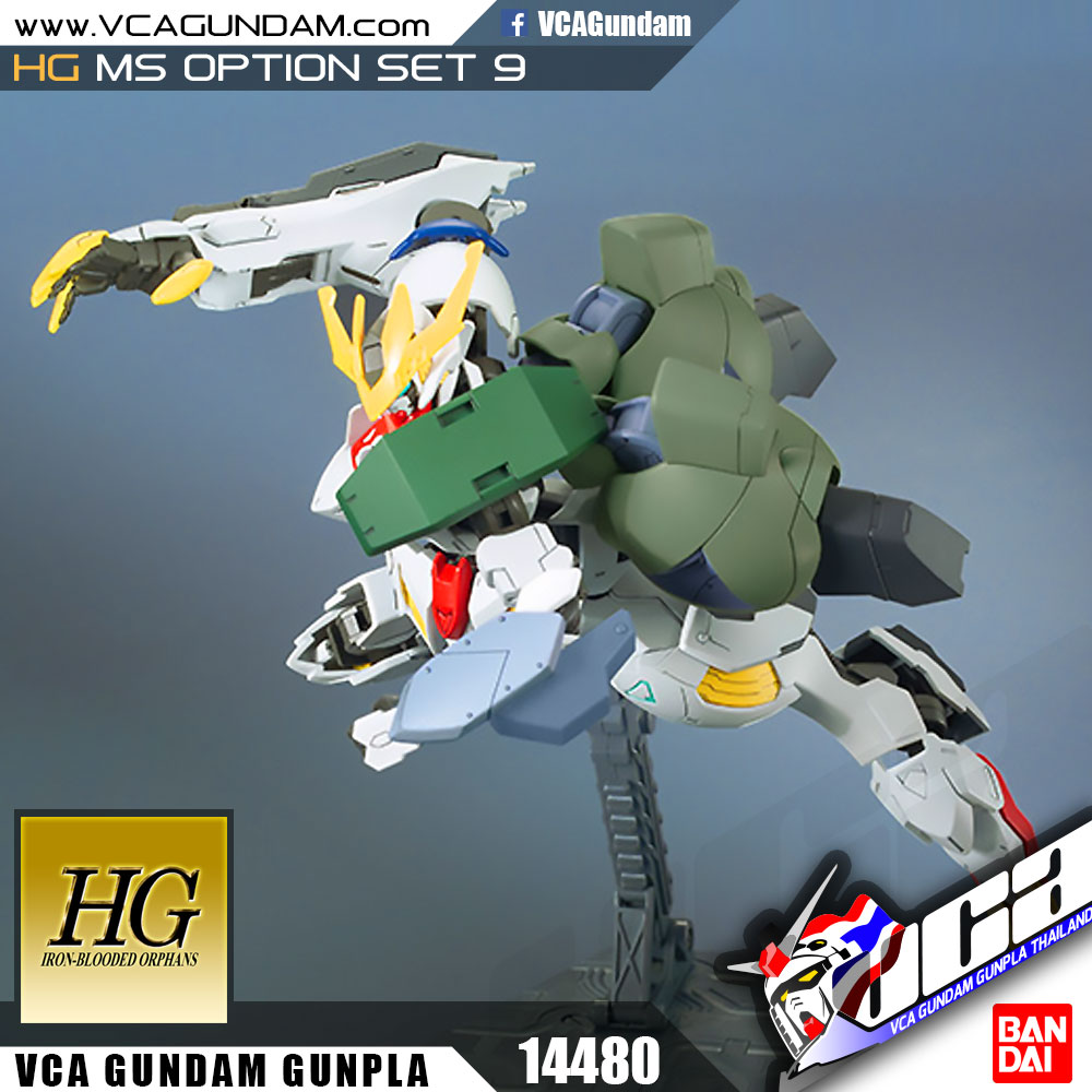 HG MS OPTION SET 9